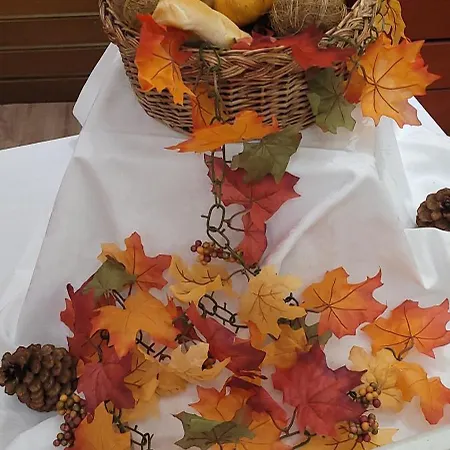 Отель Sveta София