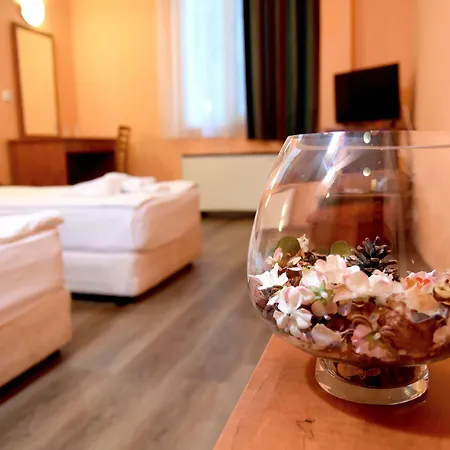 Hotel Sveta