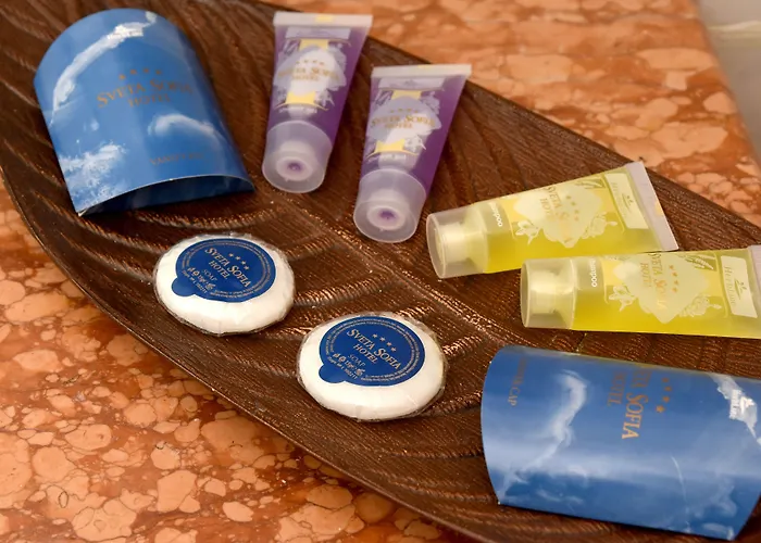 Хотел света София